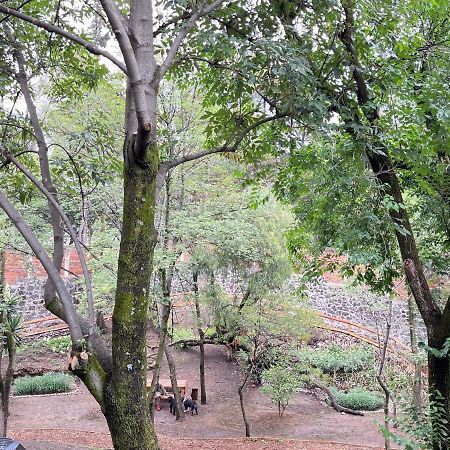 Mi Refugio San Angel Villa Mexico City Luaran gambar