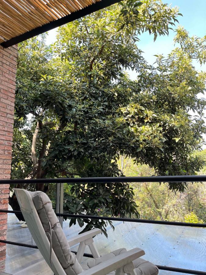 Mi Refugio San Angel Villa Mexico City Luaran gambar