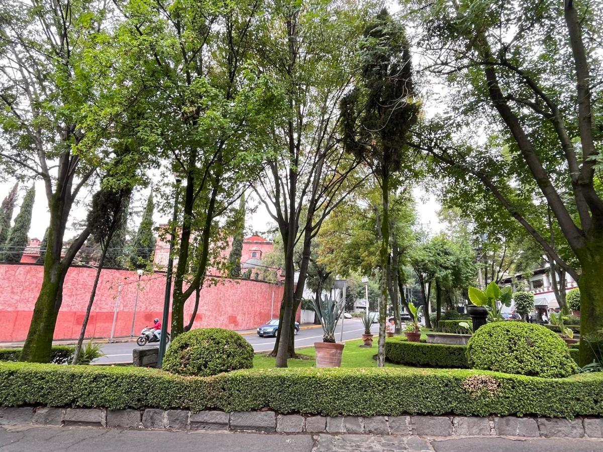 Mi Refugio San Angel Villa Mexico City Luaran gambar